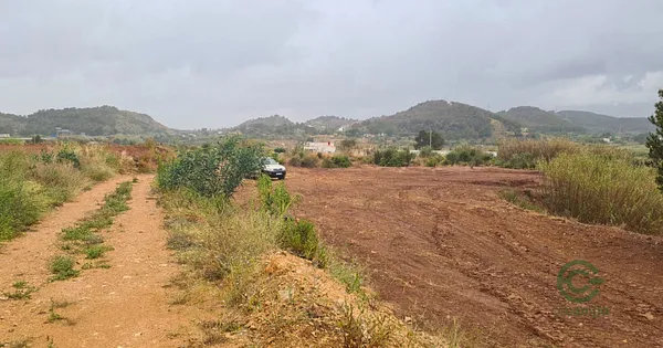 Spot image