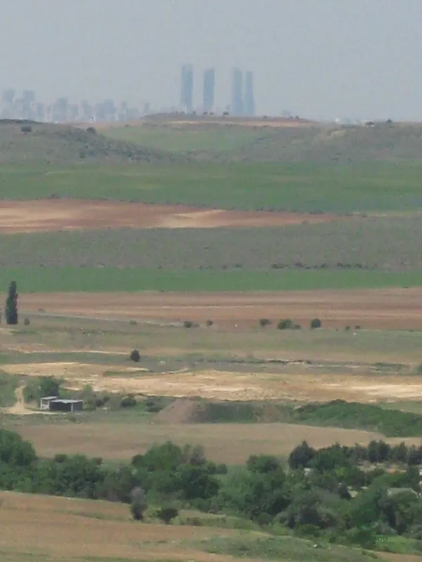 Spot image