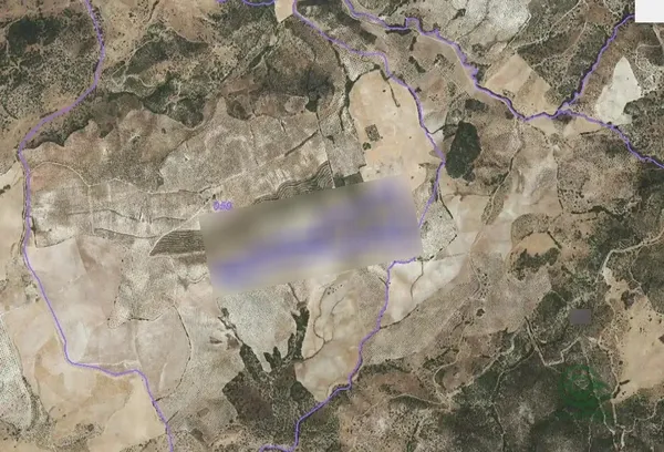 Spot image