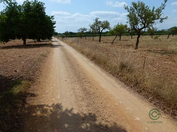 Spot image