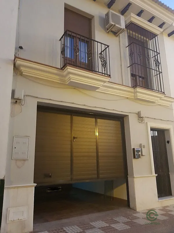Spot image