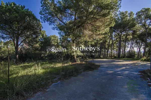 Spot image