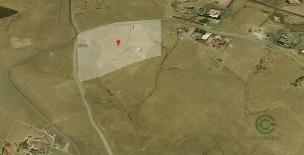 Spot image