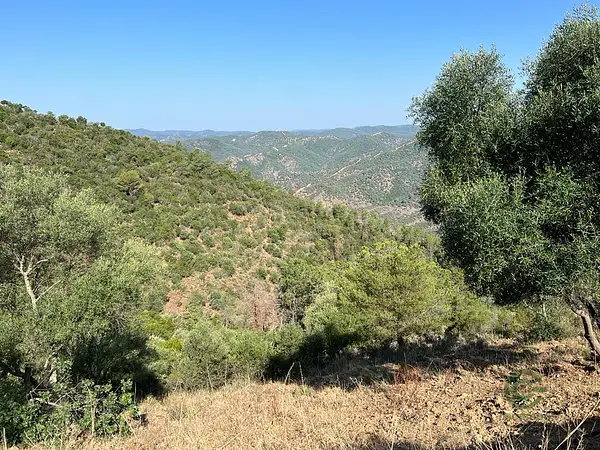 Finca rústica de 245 ha en venta en Córdoba