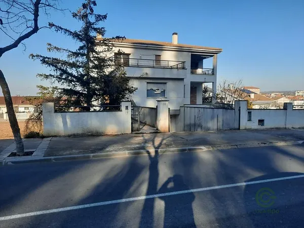 Spot image