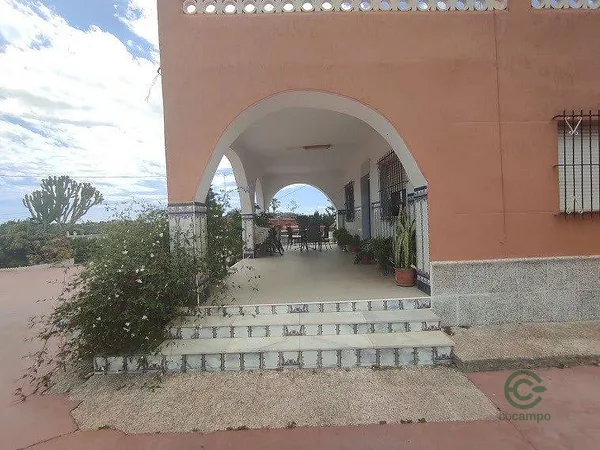 Spot image