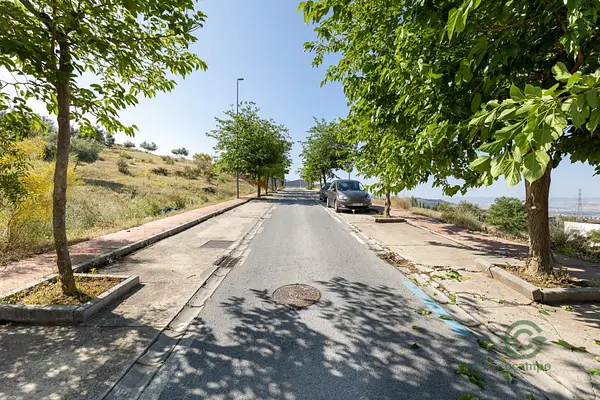 Spot image