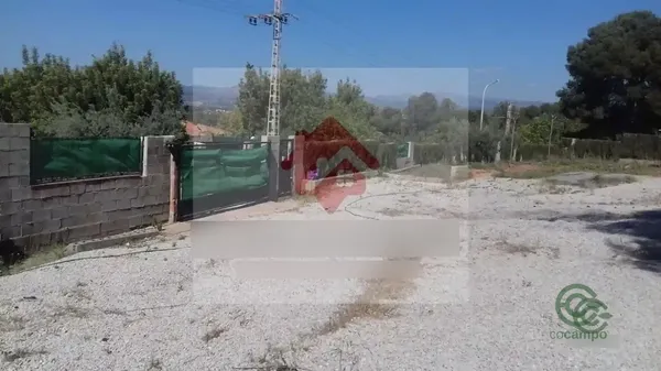 Spot image