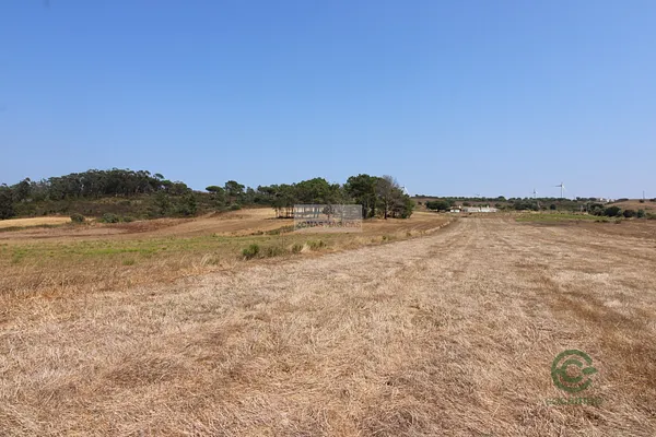 Spot image