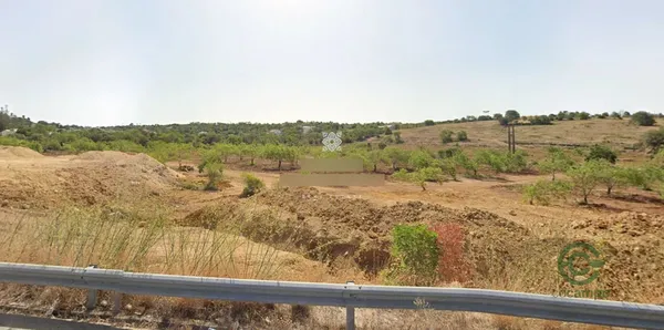Spot image