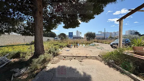Spot image