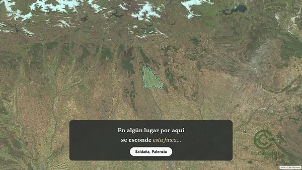 Spot image