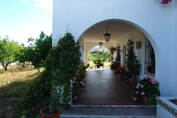 Spot image