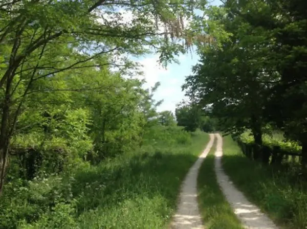 Finca agrícola de 0,36 ha en venta en Vedra, La coruna