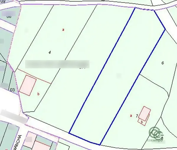 Spot image