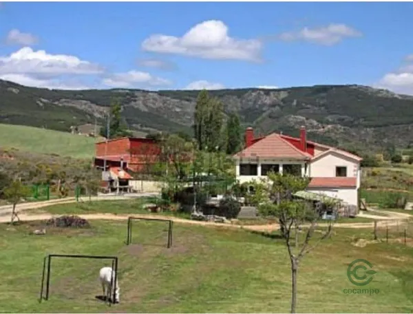 Spot image