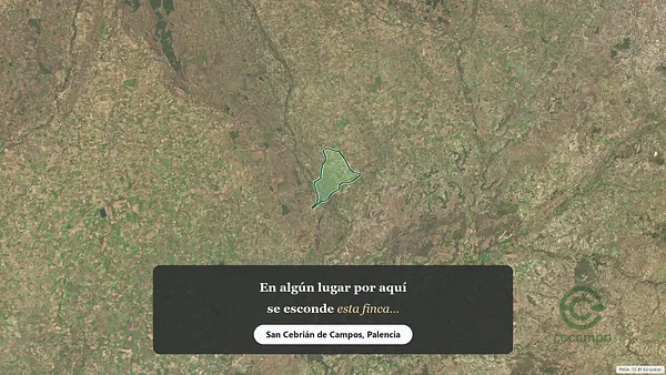 Spot image