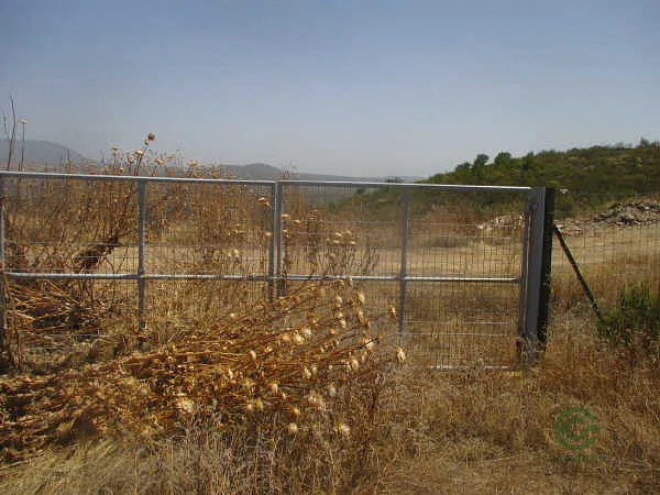 Spot image