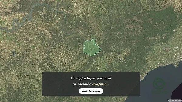 Spot image