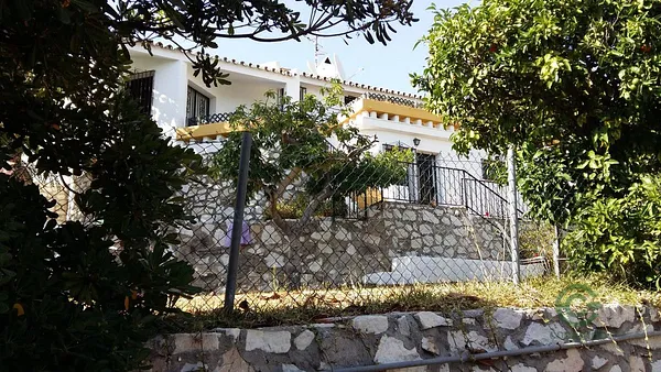 Spot image