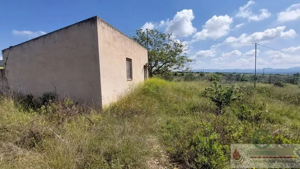 Finca agrícola de 5,0452 ha en venta en Valls, Tarragona