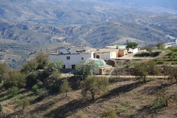 Spot image