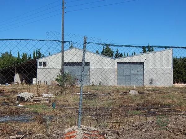 Spot image