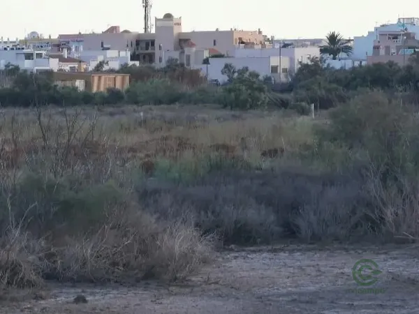 Spot image