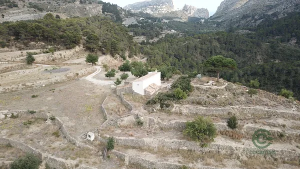 Spot image
