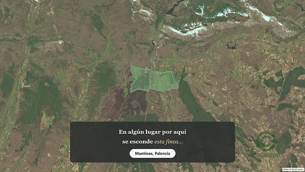 Spot image