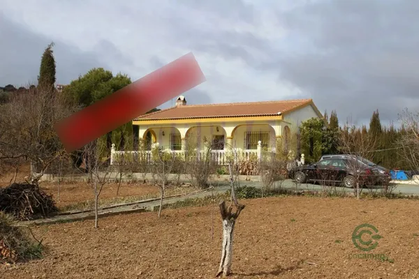 Spot image