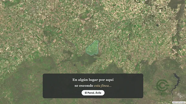 Spot image