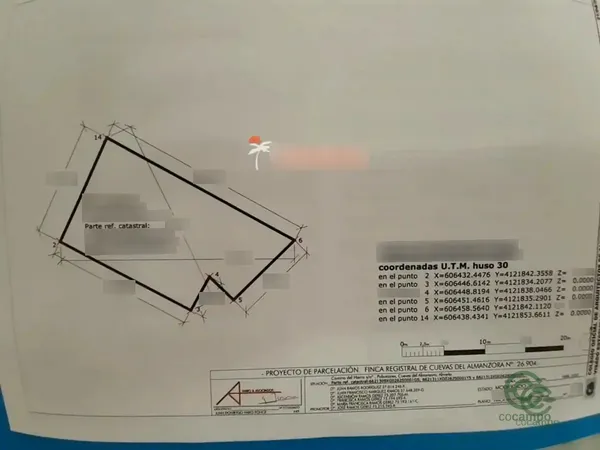Spot image