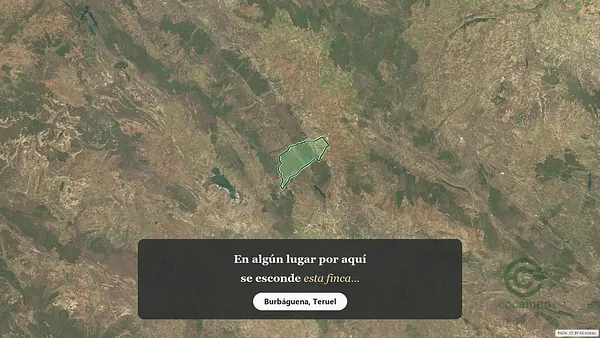 Spot image