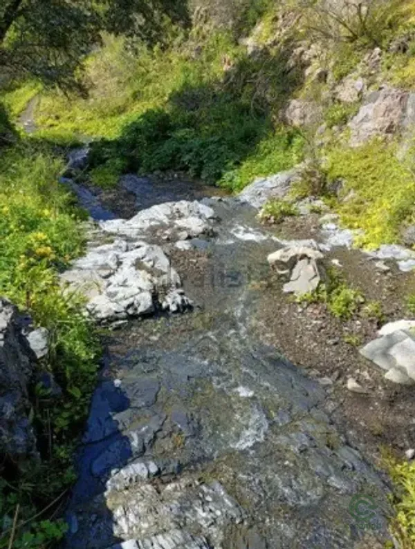 Finca rústica de 3,8 ha en venta en Málaga