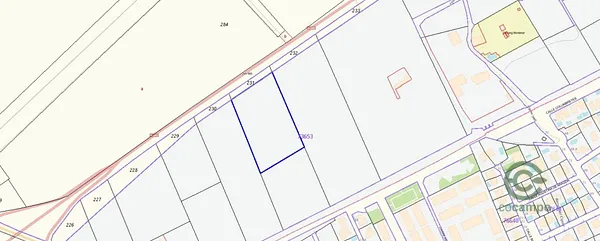 Spot image