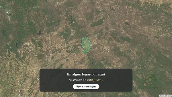 Spot image