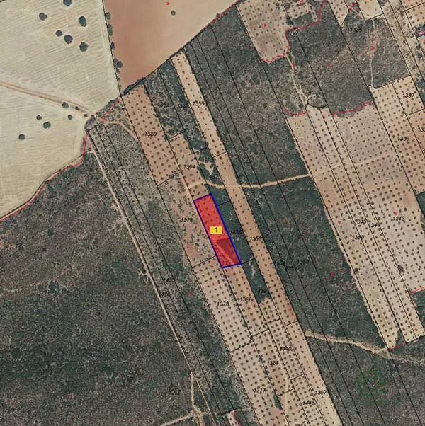 Spot image