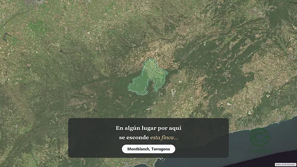 Spot image
