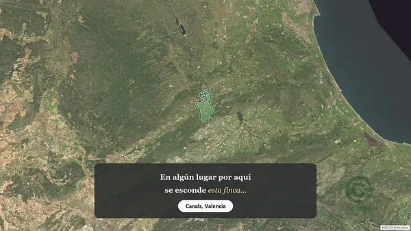 Spot image