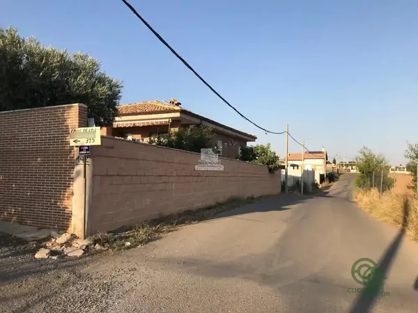 Spot image