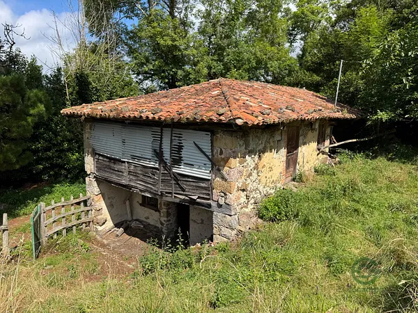 Spot image