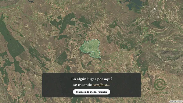 Spot image