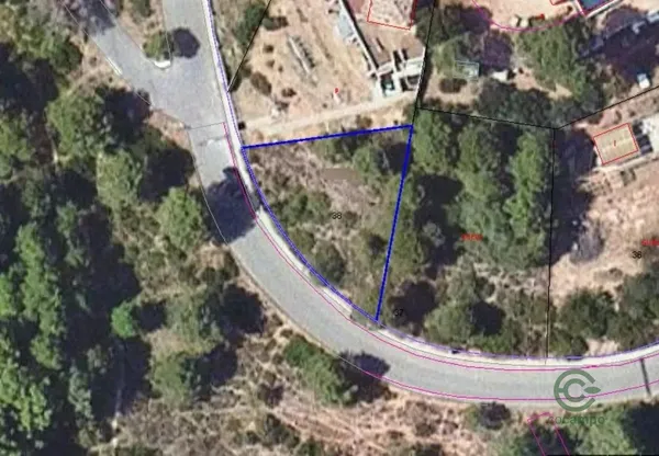 Spot image