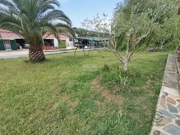 Spot image