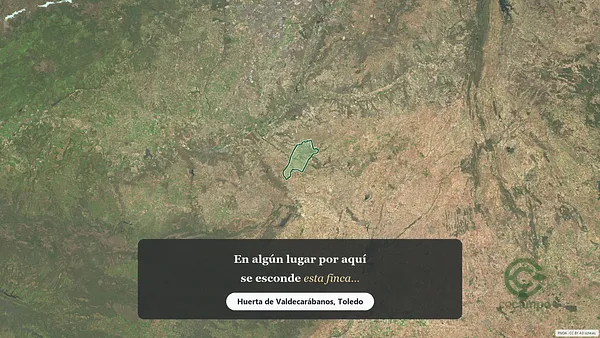 Spot image