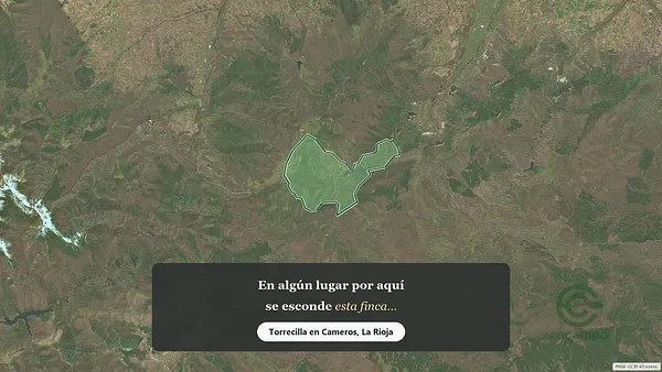 Spot image
