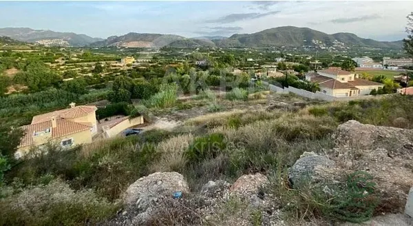 Spot image