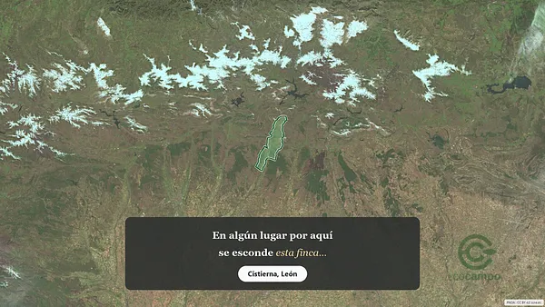 Spot image