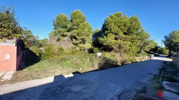 Spot image